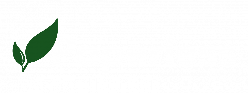 Paperless NGX